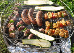 Normal_800px-barbecue_10